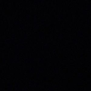 Meet your Posher, Daniella